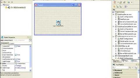 Bob Swart - DataSnap 2010 - Section 3