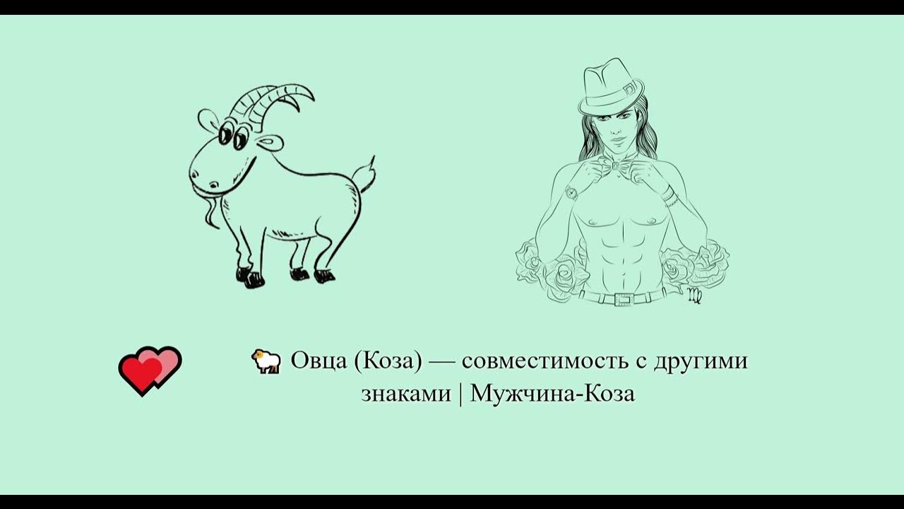 Овен в год козы мужчина характеристика. Коза овен характеристики. Коза овен характеристики. Коза овен характеристики. Лошадь и коза совместимость.