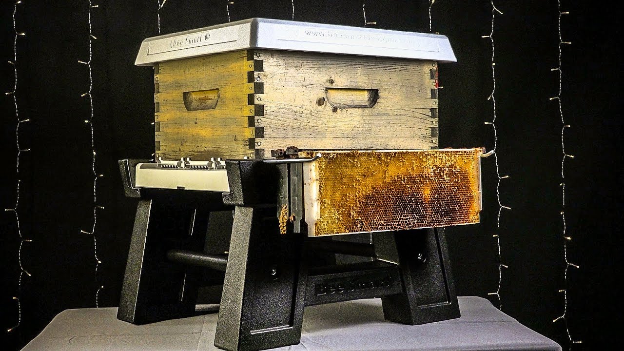 Bee Smart Hive Stand, Bottom Board System, Robbing Screen 