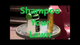 Backyard Lawn:  How to Shampoo your lawn
