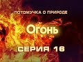 Потомучка о природе 16. Огонь