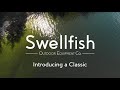 Swellfish classic 2018
