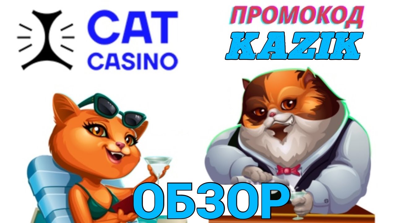 Supercat casino supercat casino space