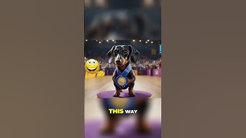 AI Overfitting Explained… with DOG TREATS?! 🐶📊 #Shorts