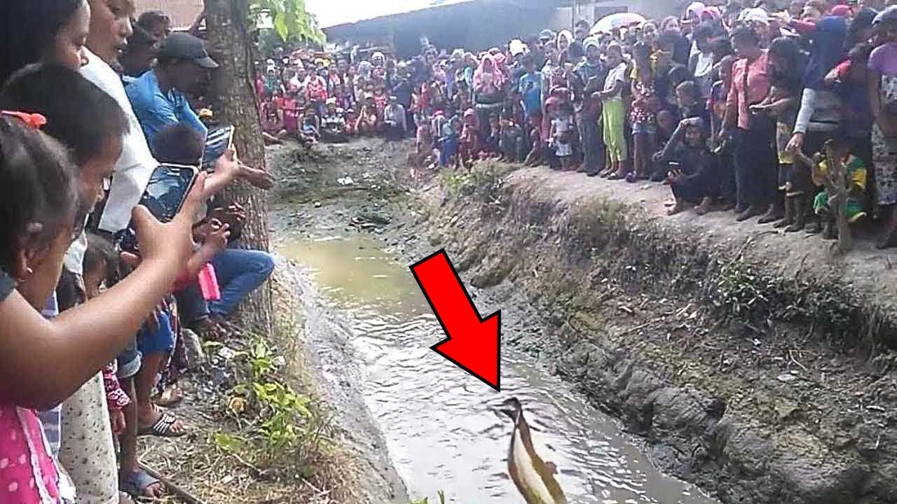 Nachdem der Teich war, waren die Menschen schockiert, als