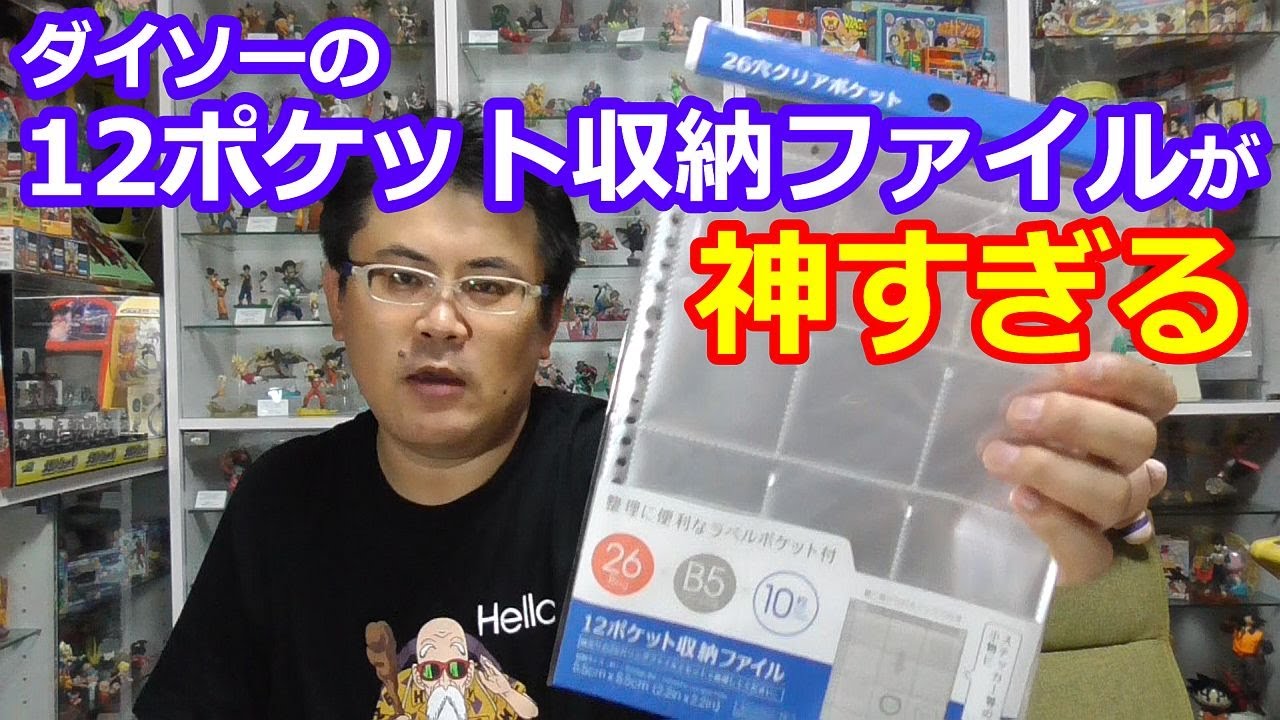 ダイソーの新商品 １２ポケット収納ファイル が神すぎた Youtube