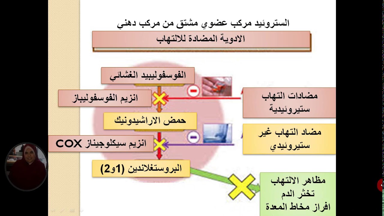 علوم طبيعية العرض 15 افكار تبنى عليها تمارين التحفيز الانزيمي الجزء الاول