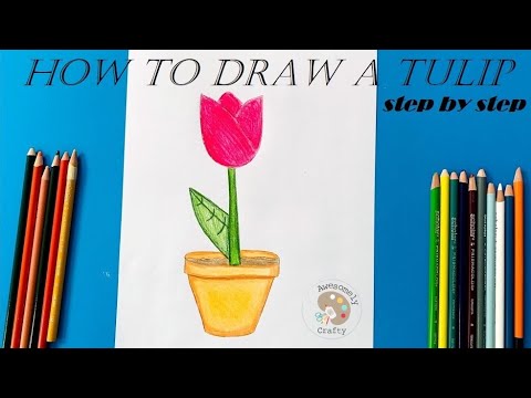 How to draw a tulip easy for preschoolers | Easy drawings for kids ...