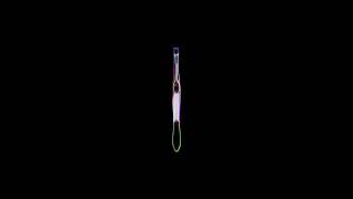 ASMR – 20 Tweezers [No talking]