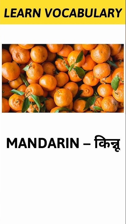 mandarin-meaning-in-hindi-learn-vocabulary-shorts-youtube