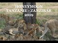 Safari tanzanie  zanzibar fvrier 2019  voyage de noces