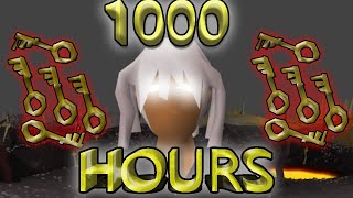 1000 Hours of High Risk HCIM (S2) (#1)