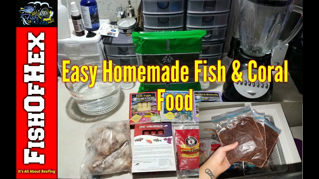 diy fish coral food