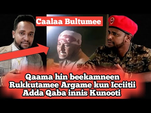 Waahee Caalaa Bultumee Icciitii Haaraa Bahee Innis Kunooti