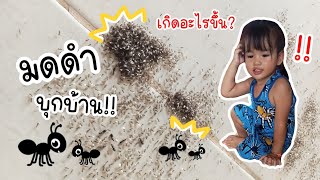 น้องหนูฟาร์ม | มดดำบุกบ้าน!! เกิดอะไรขึ้น?