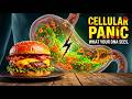1 Cheat Meal Changes Your Cells Forever (Biological War Inside)