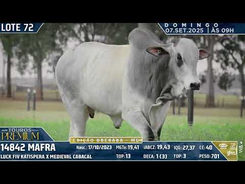 LOTE 72