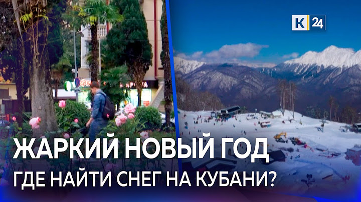 Новый год на Кубани будет без снега❄️