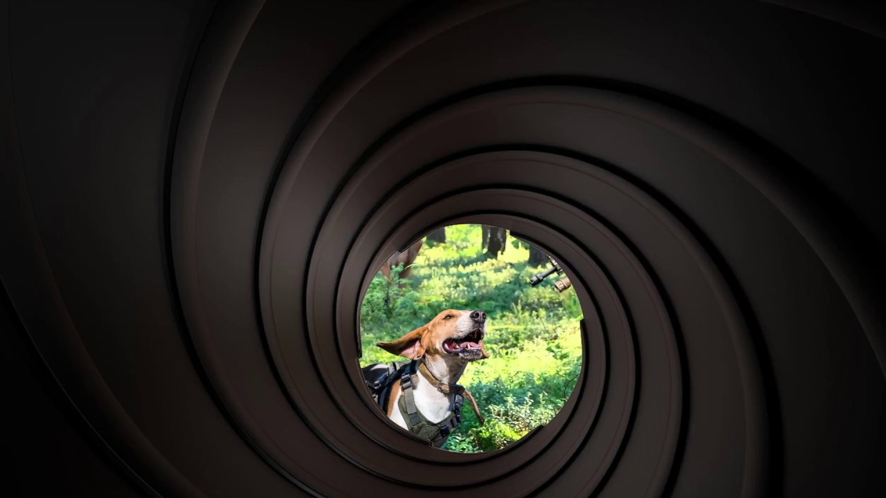 SafeShoot rifle barrel view demo