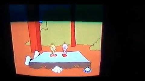 The Sylvester & Tweety Mysteries Tweety meets Orson