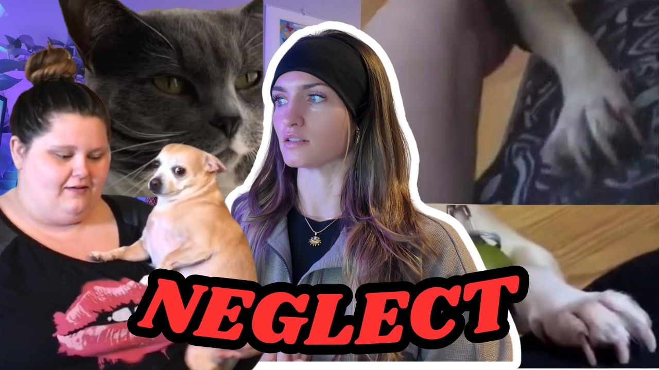 Yes, Amberlynn Reid IS An Animal Ab*ser AND A Liar