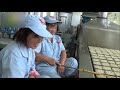 Fried Instant Noodles Manufacturing Plant|Instant Noodles Production Line