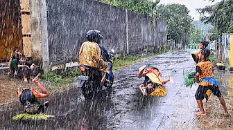 HEAVY RAIN STILL FALLS ON MY VILLAGE IN INDONESIA