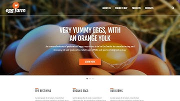 Poultry Farm Responsive Website Template by WT - 52491