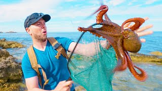 Jaw-dropping Giant Octopus in the Tide Pool!