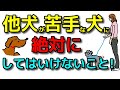 【犬 しつけ 犬に吠える】他犬が苦手な愛犬に絶対にしてはいけない飼主さんの行動！犬のしつけエマチャンネル【犬のしつけ＠横浜】