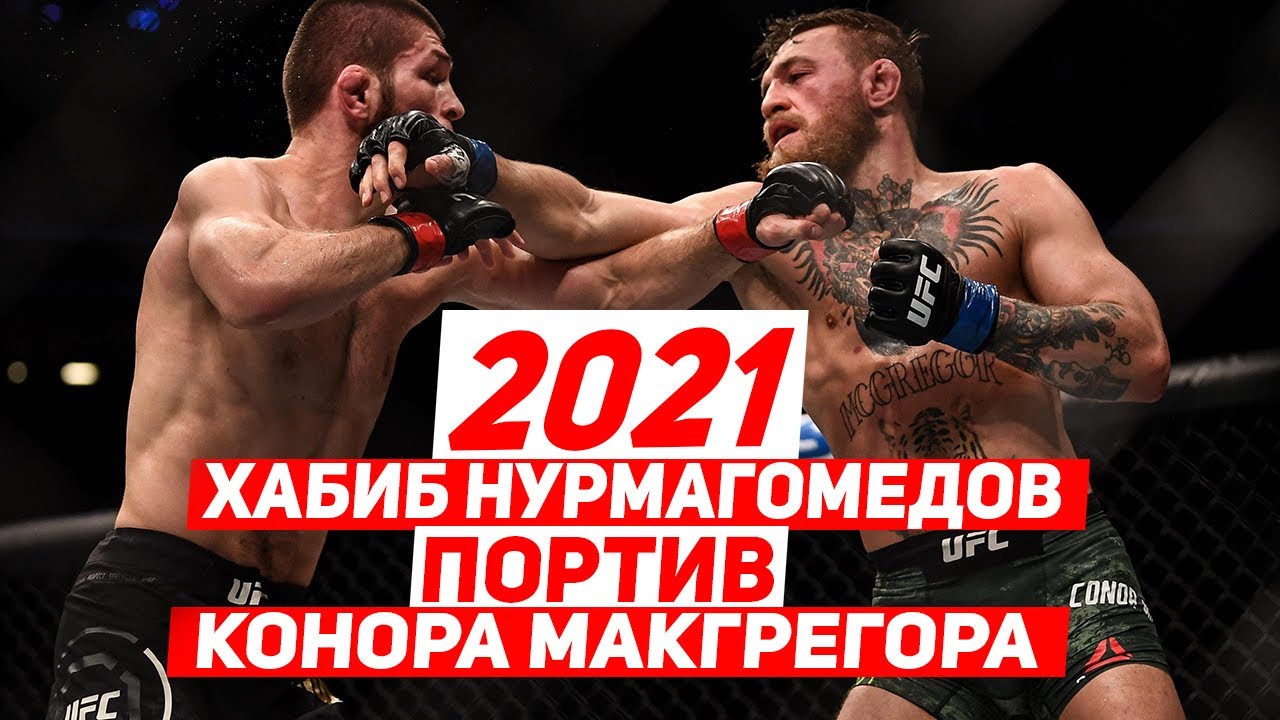 Яхта конора макгрегора ламборджини