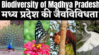 Biodiversity of Madhya Pradesh || M.P. Biodiversity ||  मध्यप्रदेश की जैवविविधता || Biodiversity