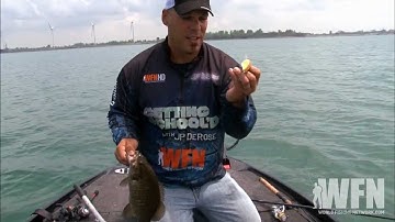 Deep Diving Crankbait Tips