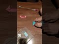 람보르기니 접기_써기와 내동생 스텔라(스텔라 화남-_-^)