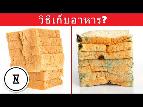 การจัดเก็บอาหาร | วิธีการถนอมอาหาร | มากรู้มากเห็น