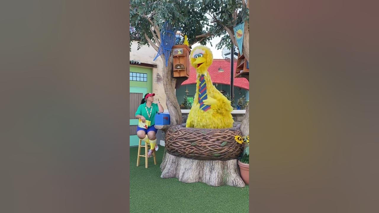 Can You Tell Me How To Get To SESAME STREET? #sesamestreet #bigbird #seaworld