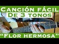 Flor Hermosa - Cancion Facil de 3 Tonos para Principiantes (Tutorial Guitarra)