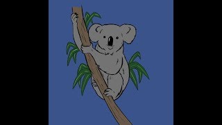 Video thumbnail of "clap cotton - kookaburras"