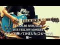 「 I CAN BE SHIT,MAMA /THE YELLOW MONKEY」ギターで弾いてみました(コピーです)猫一