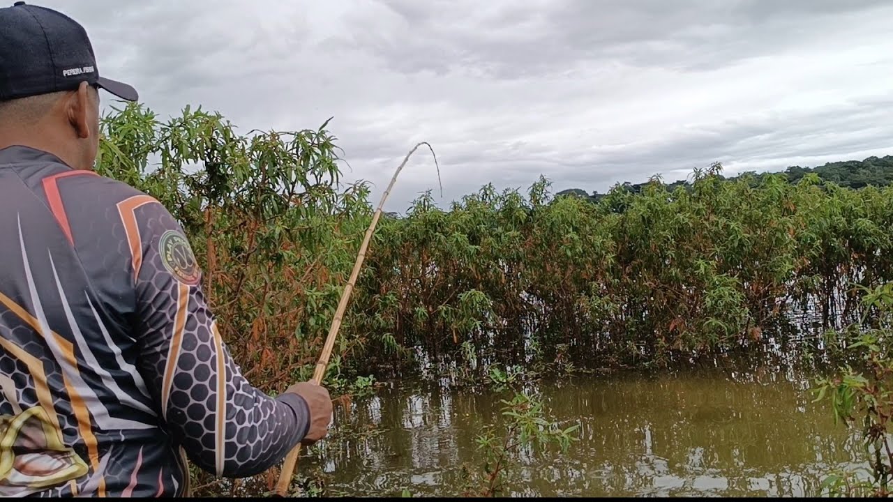 Voltamos na lagoa abandonada depois da chuva forte 
