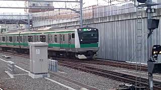 埼京線E233系7000番台ハエ124編成 折り返し特急新宿行　西谷駅入線