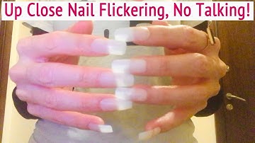 ASMR * Nail Flickering & Camera Tapping/Scratching * Long Nails * No Talking * ASMRVilla