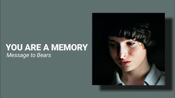 You are a memory - Message to Bears (slowed)