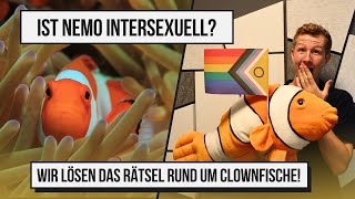 Ist NEMO intersexuell? 🌈