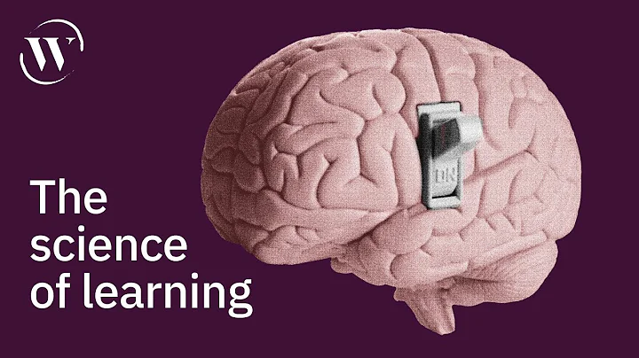 How to turn information into intelligence | Barbar...