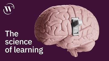 How to turn information into intelligence | Barbara Oakley