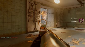 Call of Duty WW2 - Aim Bug Evidence 2019 - Activision Please Fix This Game Breaking Issue!!