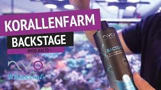 Whitecorals - Bacto+ in unserer Farm
