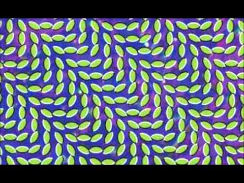 Animal Collective - In the Flowers