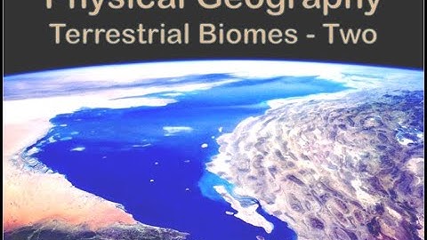 Video Lecture About Terrestrial Biomes Part Two